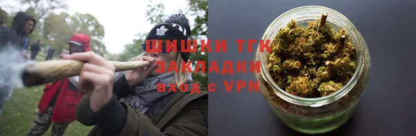 сатива Бронницы