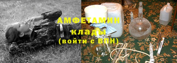 сатива Бронницы